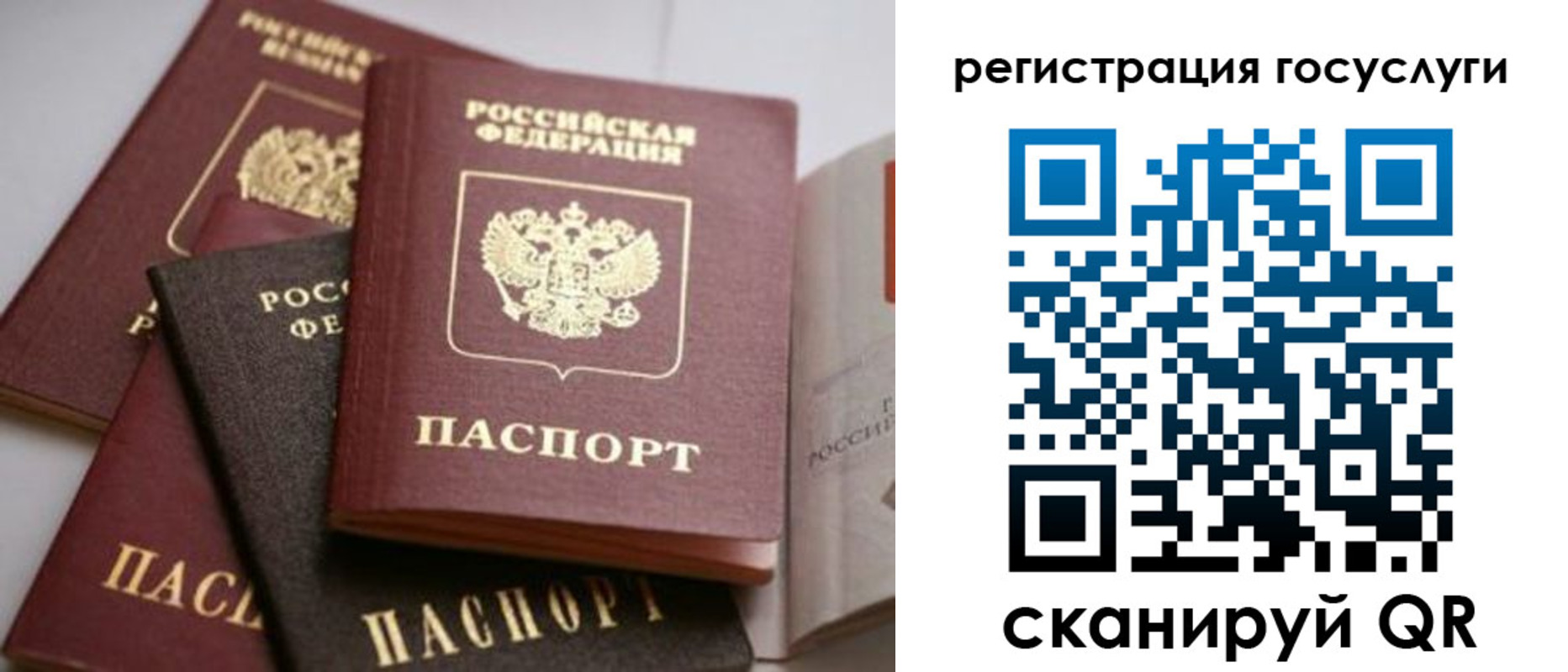 пропишу в квартире в Липецке